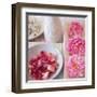 Salmon Rose II-Bill Philip-Framed Art Print