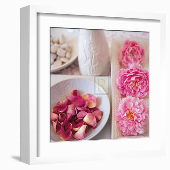 Salmon Rose II-Bill Philip-Framed Art Print