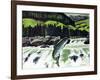 Salmon Run-Fred Ludekens-Framed Giclee Print