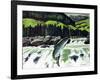 Salmon Run-Fred Ludekens-Framed Giclee Print