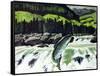 Salmon Run-Fred Ludekens-Framed Stretched Canvas