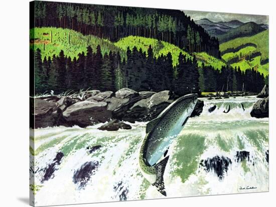 Salmon Run-Fred Ludekens-Stretched Canvas