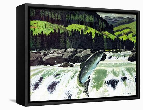 Salmon Run-Fred Ludekens-Framed Stretched Canvas