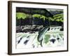 Salmon Run-Fred Ludekens-Framed Giclee Print