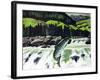 Salmon Run-Fred Ludekens-Framed Giclee Print