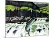 Salmon Run-Fred Ludekens-Mounted Giclee Print