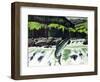 Salmon Run-Fred Ludekens-Framed Premium Giclee Print