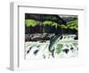 Salmon Run-Fred Ludekens-Framed Premium Giclee Print