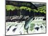 Salmon Run-Fred Ludekens-Mounted Premium Giclee Print