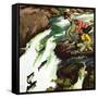 "Salmon Running Upstream", May 17, 1952-Mead Schaeffer-Framed Stretched Canvas