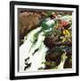 "Salmon Running Upstream", May 17, 1952-Mead Schaeffer-Framed Giclee Print