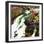 "Salmon Running Upstream", May 17, 1952-Mead Schaeffer-Framed Giclee Print