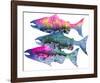 Salmon Season-Jeannine Saylor-Framed Art Print