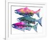 Salmon Season-Jeannine Saylor-Framed Art Print