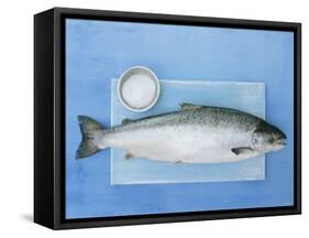 Salmon with a Dish of Sea Salt-Jan-peter Westermann-Framed Stretched Canvas