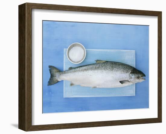 Salmon with a Dish of Sea Salt-Jan-peter Westermann-Framed Photographic Print