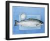 Salmon with a Dish of Sea Salt-Jan-peter Westermann-Framed Photographic Print