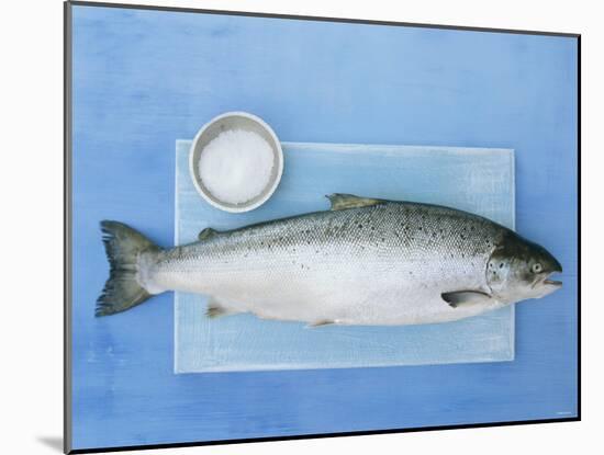 Salmon with a Dish of Sea Salt-Jan-peter Westermann-Mounted Photographic Print