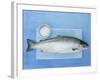 Salmon with a Dish of Sea Salt-Jan-peter Westermann-Framed Photographic Print