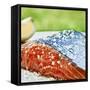 Salmon with Salt-Manuel Krug-Framed Stretched Canvas