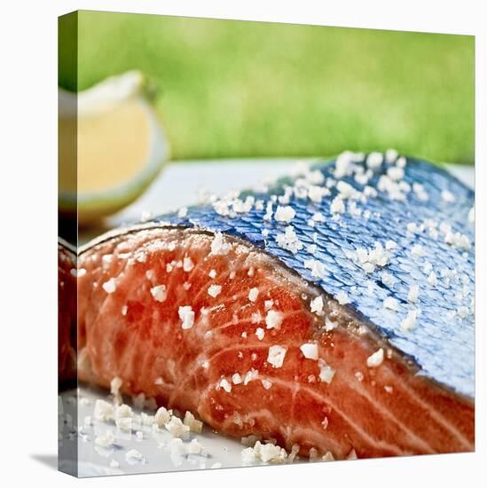 Salmon with Salt-Manuel Krug-Stretched Canvas