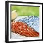 Salmon with Salt-Manuel Krug-Framed Photographic Print