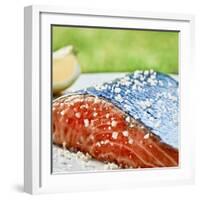 Salmon with Salt-Manuel Krug-Framed Photographic Print