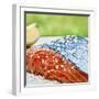 Salmon with Salt-Manuel Krug-Framed Photographic Print