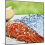 Salmon with Salt-Manuel Krug-Mounted Photographic Print