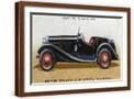 Brown Frame