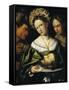 Salome, 1530-Callisto Piazza-Framed Stretched Canvas