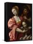 Salome, Ca 1510-1520-Giampietrino-Framed Stretched Canvas