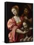 Salome, Ca 1510-1520-Giampietrino-Framed Stretched Canvas