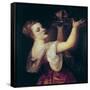 Salome Carrying the Head of St-Titian (Tiziano Vecelli)-Framed Stretched Canvas