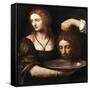 Salome Receiving the Head of John the Baptist, 16th Century-Bernardino Luini-Framed Stretched Canvas