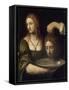 Salomé reçoit la tête de Saint Jean-Baptiste-Bernardino Luini-Framed Stretched Canvas