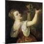 Salome with the Head of John the Baptist-Titian (Tiziano Vecelli)-Mounted Giclee Print