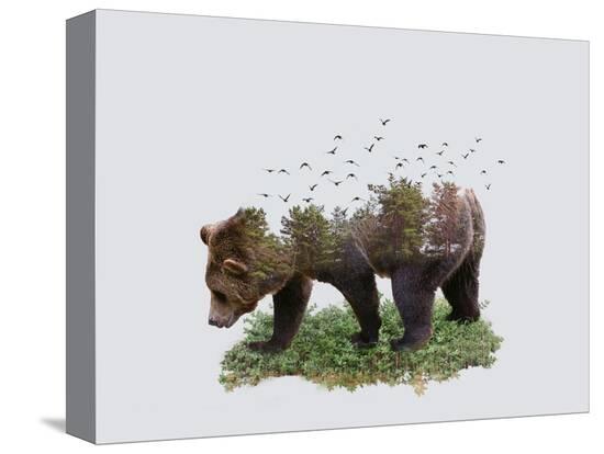 Stretched Canvas Print, , large