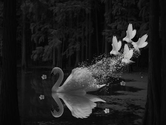 Premium Giclee Print, , large