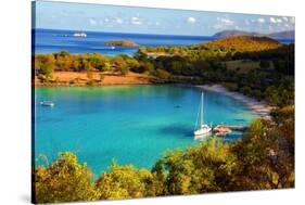 Salomon Bay, Saint John, US Virgin Islands-George Oze-Stretched Canvas