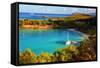 Salomon Bay, Saint John, US Virgin Islands-George Oze-Framed Stretched Canvas