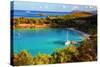 Salomon Bay, Saint John, US Virgin Islands-George Oze-Stretched Canvas