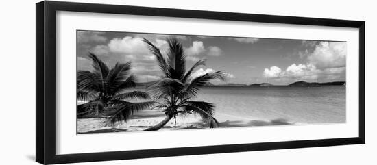 Salomon Beach Us Virgin Islands-null-Framed Photographic Print