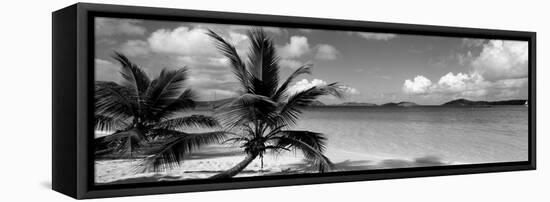 Salomon Beach Us Virgin Islands-null-Framed Stretched Canvas