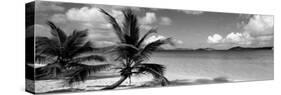 Salomon Beach Us Virgin Islands-null-Stretched Canvas