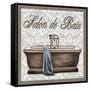 Salon de Bain Square-Todd Williams-Framed Stretched Canvas