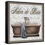 Salon de Bain Square-Todd Williams-Framed Stretched Canvas