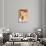 Salon des Cent 20th Exhibition-Alphonse Mucha-Art Print displayed on a wall
