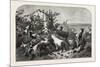 Salon of 1855, Goats, 1855-Filippo Palizzi-Mounted Giclee Print