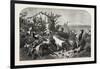 Salon of 1855, Goats, 1855-Filippo Palizzi-Framed Giclee Print